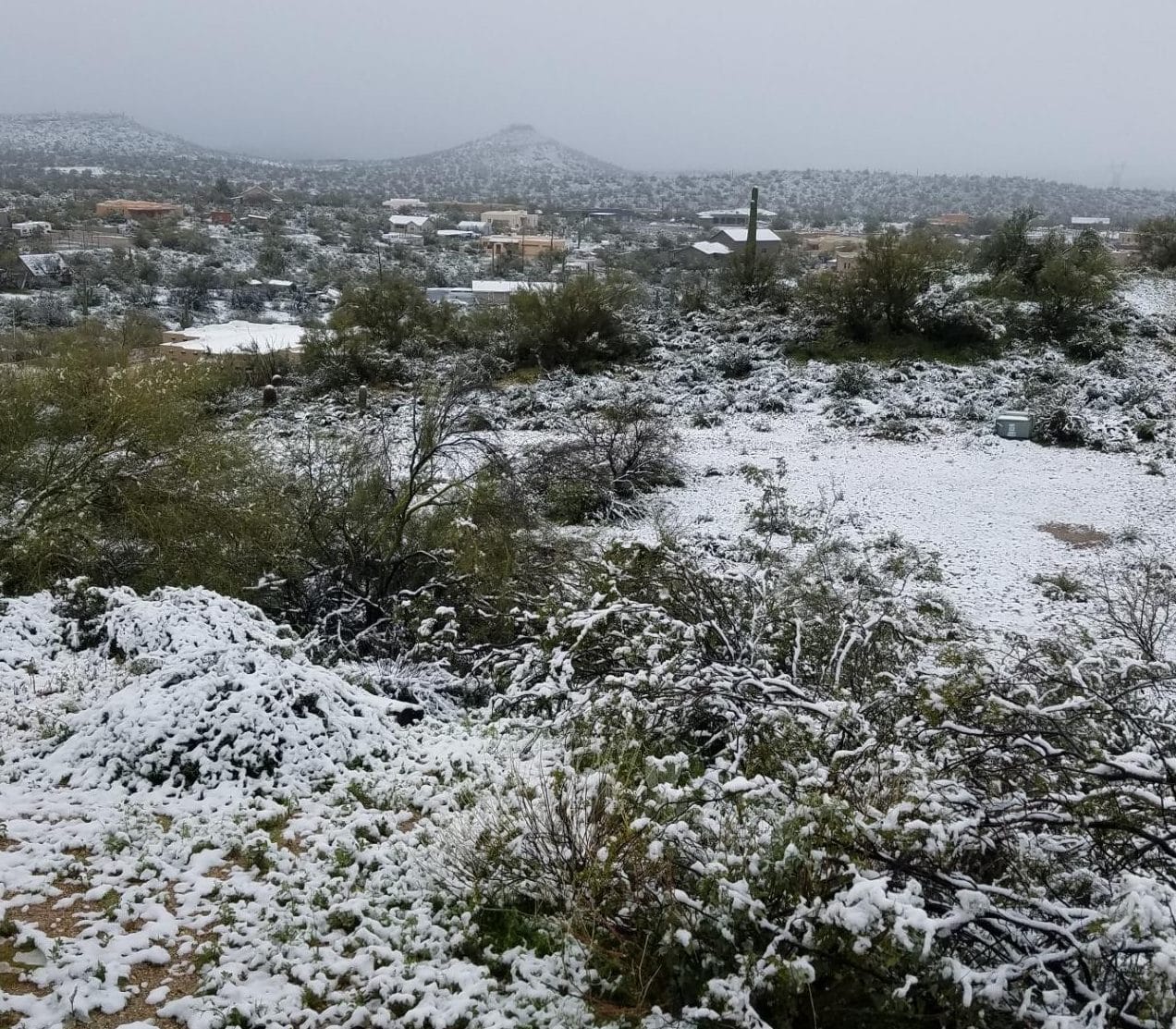 Unexpected snow in Arizona