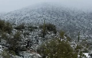 Snow in Arizona