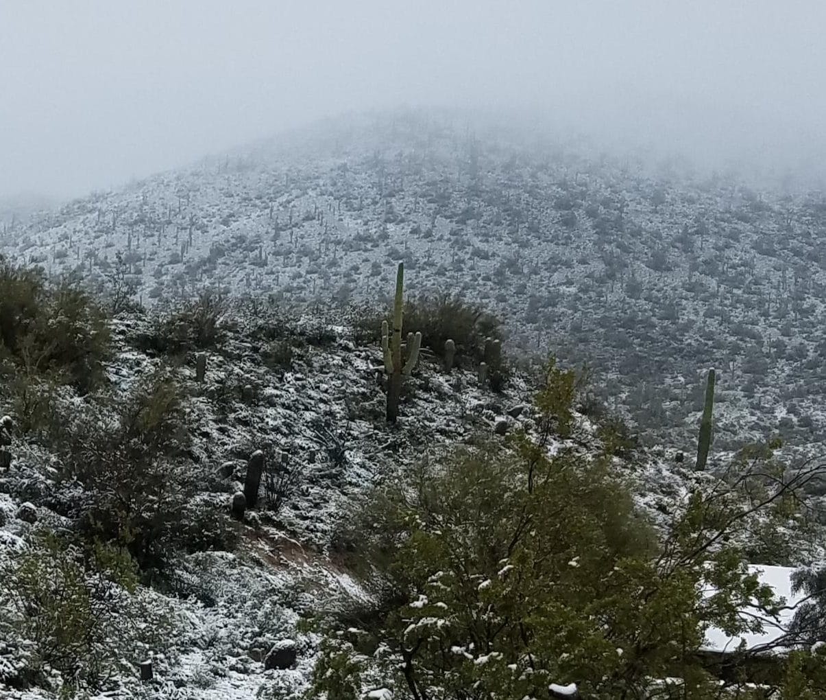 Snow in Arizona