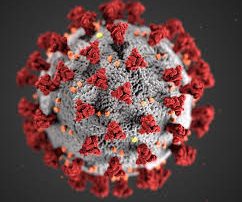 Coronavirus affects Bankruptcy court proceedings